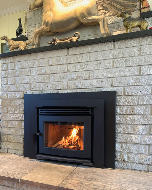 Pacific Energy, Neo 1.6 Insert